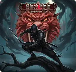Play Black Ninja Black Ninja